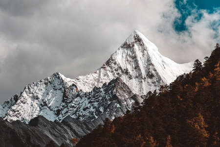 Colorful in autumn forest and snow mountain at Yading nature reserve, The last Shangri laの写真素材