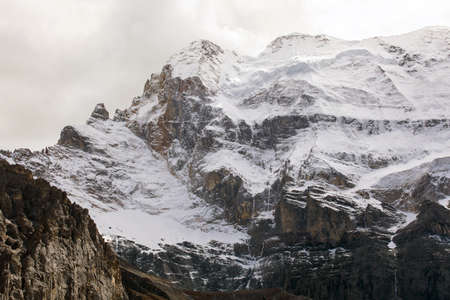 Colorful in autumn forest and snow mountain at Yading nature reserve, The last Shangri laの写真素材