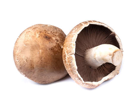 Portobello mushrooms isolated on white backgroundの写真素材
