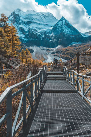 Colorful in autumn forest and snow mountain at Yading nature reserve, The last Shangri laの写真素材