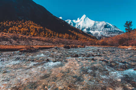Colorful in autumn forest and snow mountain at Yading nature reserve, The last Shangri laの写真素材