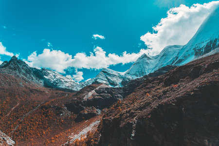 Colorful in autumn forest and snow mountain at Yading nature reserve, The last Shangri laの写真素材
