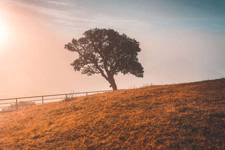 Sunrise and beautiful clouds sky at DOI PUI CO , View of the mist and sunrise and sunsetの写真素材