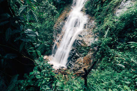 soft water of the stream in the natural park, Beautiful waterfall in rain forestの写真素材