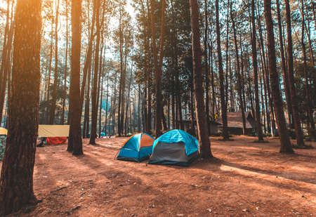 tourist tent camping in mountains