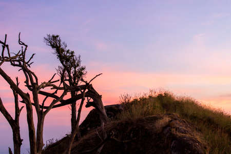 colorful dramatic sky with cloud at sunset.beautiful sky with clouds background