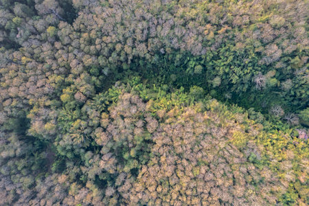 Top view of countryside road passing through the green forrest and mountainの写真素材