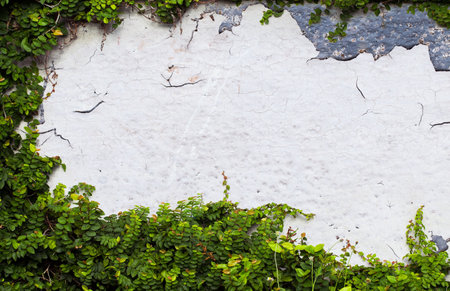 white concrete wall texture. backgroundの写真素材
