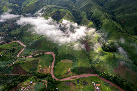 Landscape of Morning Mist with Mountain Layer. mountain ridge and clouds in rural jungle bush forest