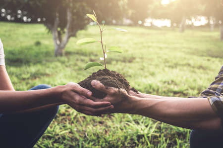 Young couple carrying a seedlings to be planted into the soil in the garden as save world concept, nature, environment and ecology.の写真素材