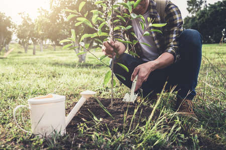 Young man planting the tree while Watering a tree working in the garden as save world concept, nature, environment and ecology.の写真素材