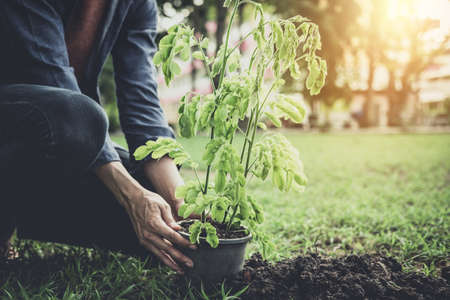 Young man planting the tree in the garden as earth day and save world concept, nature, environment and ecology.の写真素材