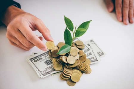 Hands of businessman putting coin into plant sprouting growing from golden coins and banknotes,...