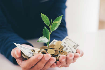 Hands of businessman holding with plant sprouting growing from a handful of golden coins and...