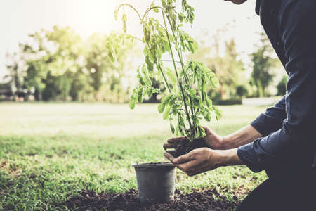 Young man planting the tree in the garden as earth day and save world concept, nature, environment and ecology.の写真素材