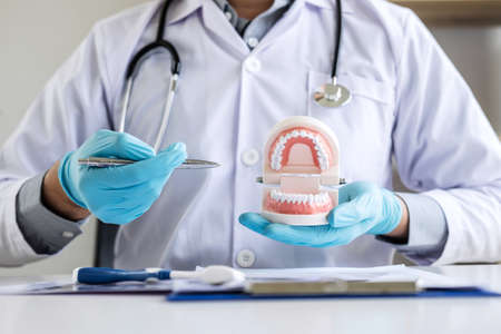 Dentist hand holding of jaw model of teeth and cleaning dental with toothbrush.の写真素材