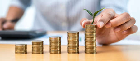 Asian business woman holding coin with tree growing to putting on stacking coin about finance and accounting while the idea of increasing profit from business investmentの写真素材