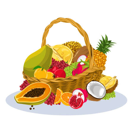 fruit vectorのイラスト素材