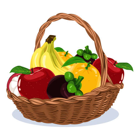 Fruit vectorのイラスト素材