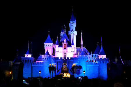Hongkong Disney night view