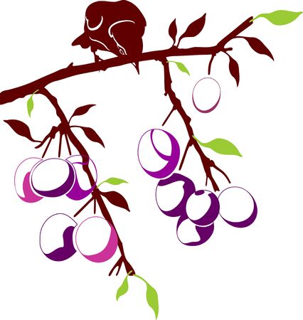 Bird sitting on a branch of plum with fruitsのイラスト素材