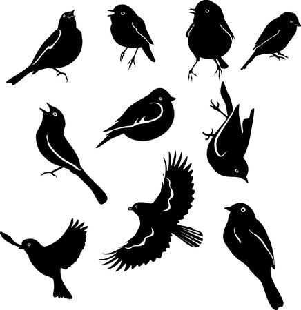 set of silhouettes of birds isolated on white backgroundのイラスト素材