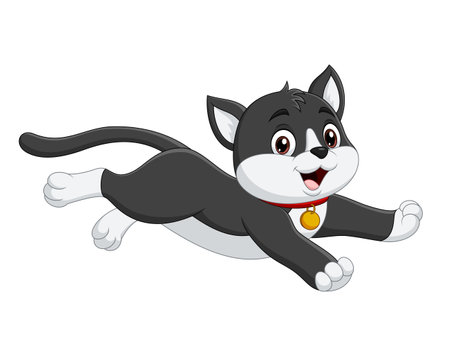 Illustration of a cute cartoon black and white siberian huskyのイラスト素材