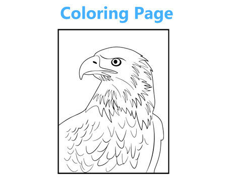 Coloring page for children with a picture of a bald eagle.のイラスト素材