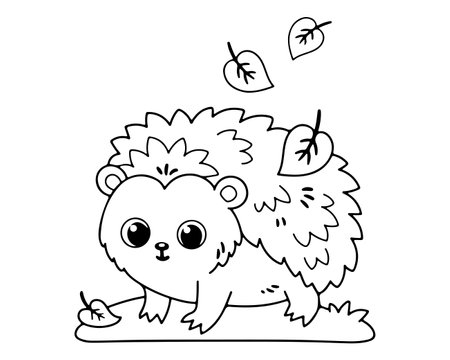 Cute hedgehog cartoon design, Animal zoo life nature and fauna theme Vector illustrationのイラスト素材
