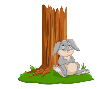 rabbit sitting on the grass and looking at the tree vector illustrationのイラスト素材