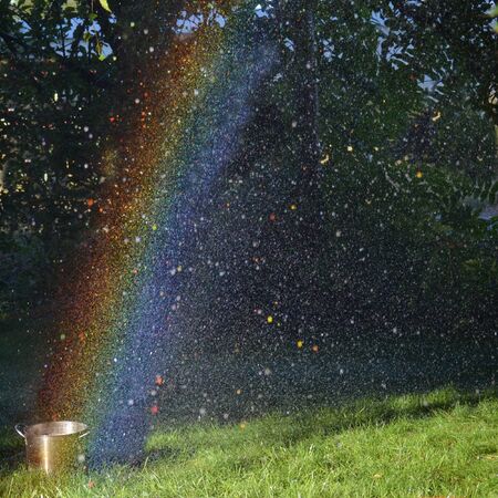 rainbow in yardの写真素材