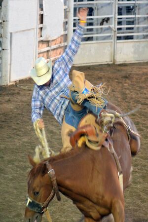 rodeo cowboy on saddle broncのeditorial素材