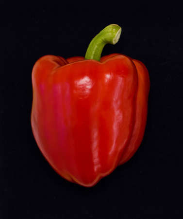Red pepper isolated on black background. Paprika.の写真素材