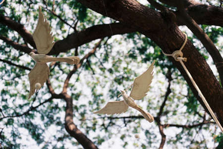 Fly Togetherの写真素材