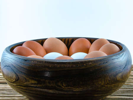 Egg on a white backgroundの写真素材