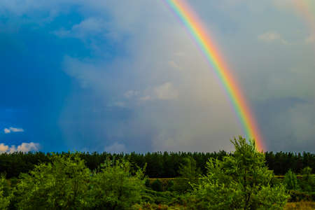 rainbowの写真素材