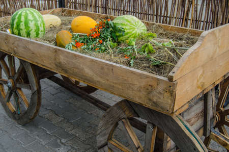 cartn corrugadoの写真素材