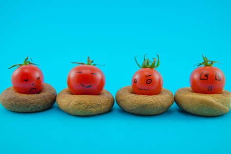 tomatoes