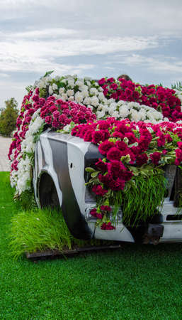 flowerの写真素材