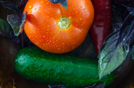 VEGETABLESの写真素材