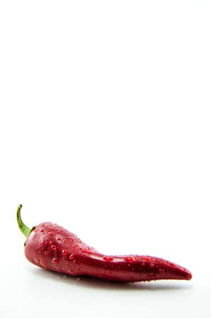 Red peperの写真素材