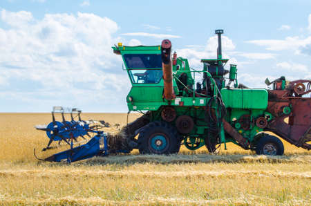 harvest