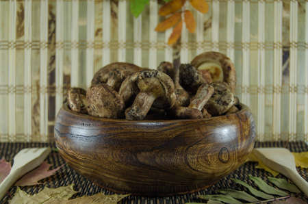 mushroomsの写真素材