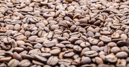 roasted coffee beans