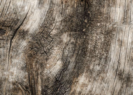 texture of old woodの写真素材