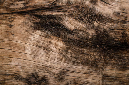 texture of old wood
