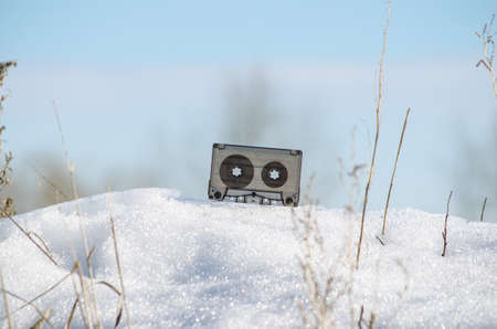 Cold music of natureの写真素材