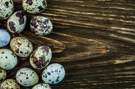 Spotted quail eggsの写真素材