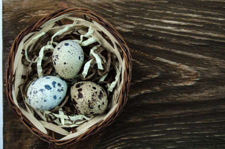 Spotted quail eggsの写真素材