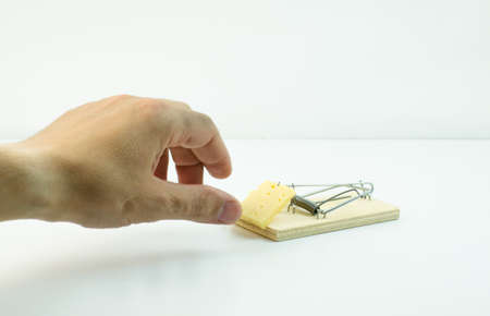 Hand reaching for a piece of cheese in a mousetrapの写真素材